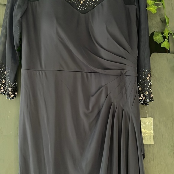 Alex Evening A-Line Mesh Gown With Beaded illusion Sweetheart Neckline Size 16P - Picture 4 of 16